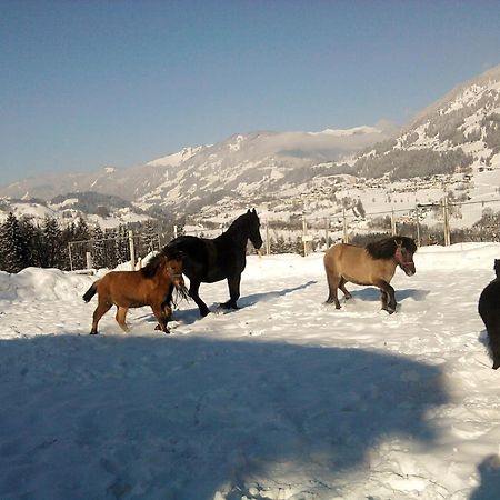 Weidinghof Apartman Sankt Veit im Pongau Kültér fotó